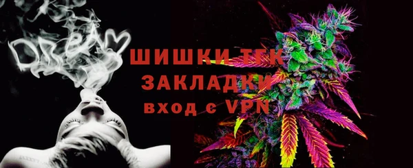 МДПВ Дмитриев