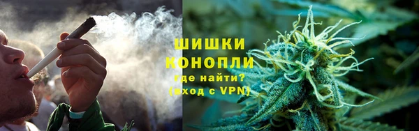 МДПВ Дмитриев