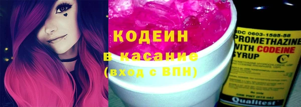 МДПВ Дмитриев