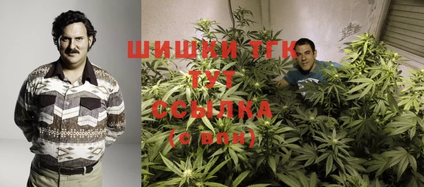 МДПВ Дмитриев